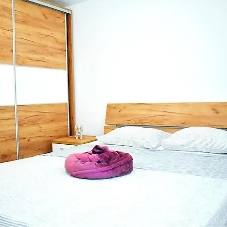 Amazing In With Wifi Apartment